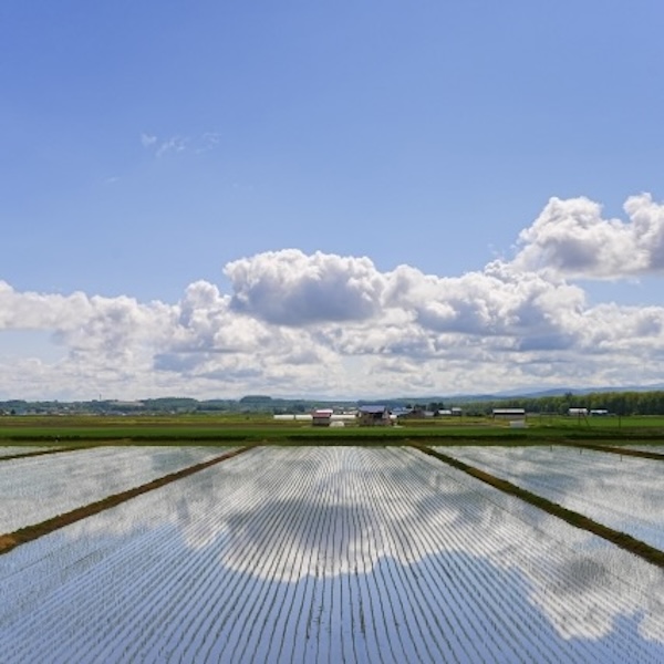 田園風景